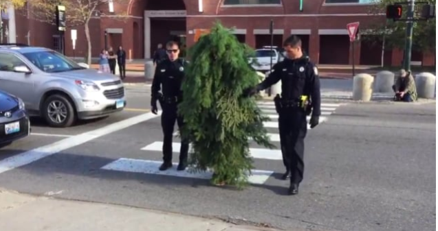 Video: arrestan a “árbol” por bloquear el tráfico