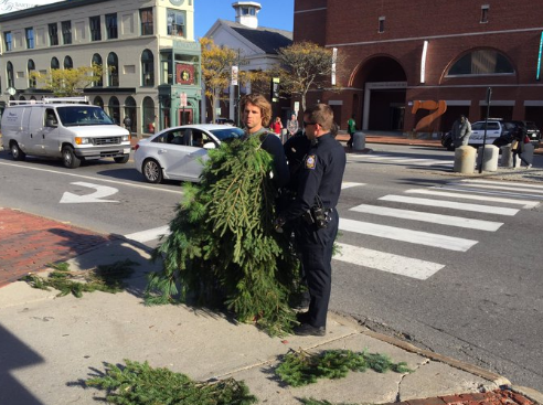 Video: arrestan a "árbol" por bloquear el tráfico - hombre-arbol