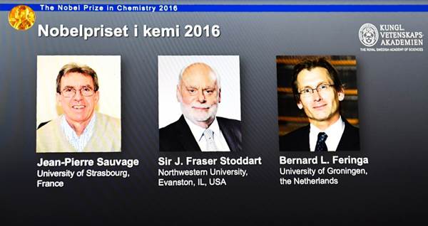 Un francés, un británico y un holandés ganan el Nobel de Química - nobel-de-quimica-2016