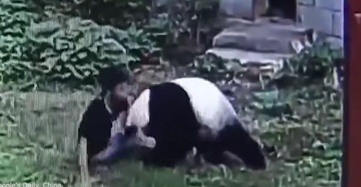 Los videos de la semana Los videos de la semana