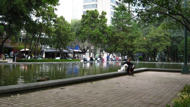 Camioneta de la Miguel Hidalgo atropella a mujer