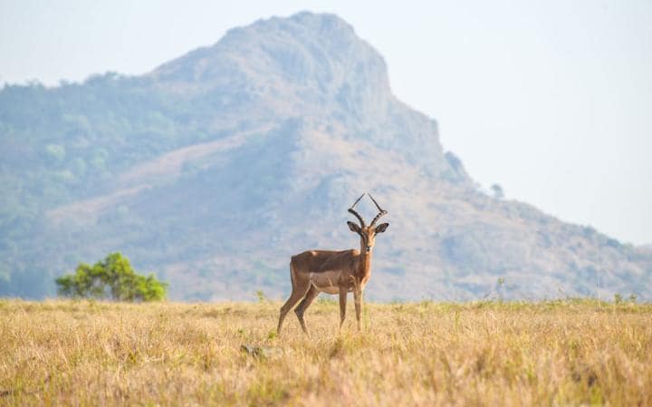 Los países más baratos para viajar - pb4