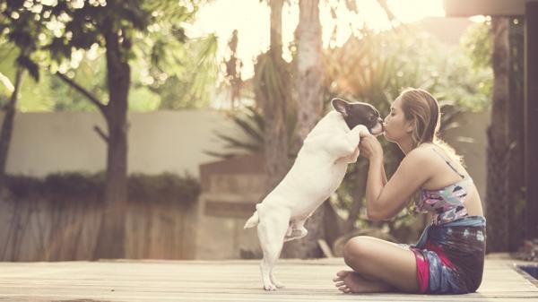 ¿En qué partes un perro nunca debe besar a su dueño? - perritoI