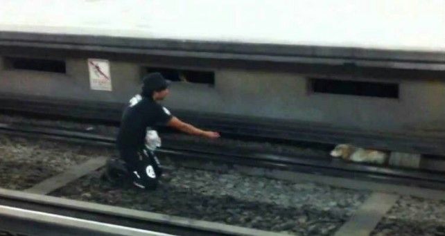 Rescatan a perro sobre las vías de Línea 3 del Metro