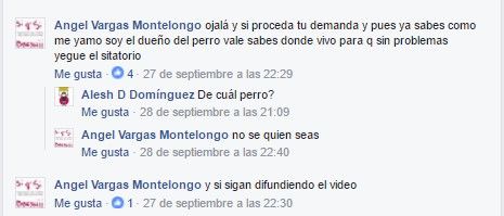 Video: pitbull mata a perro pequeño y dueña agrede a los vecinos - perro