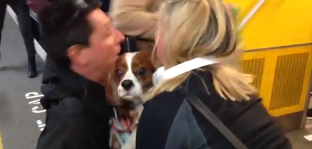 Video: rescate de perro en el metro de Londres