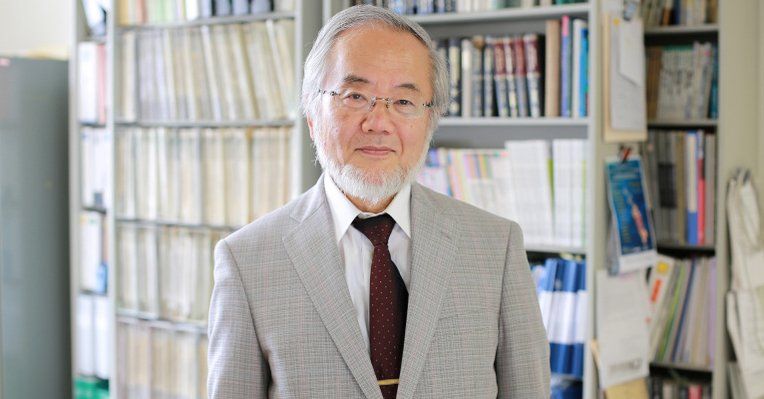 Yoshinori Ohsumi gana el Premio Nobel de Medicina