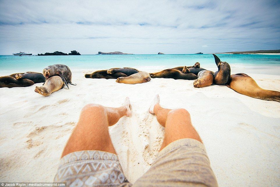 Bloguero busca asistente para viajar por todo el mundo - riglin14