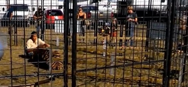 Video: tigre arrastra a su entrenadora durante un espectáculo