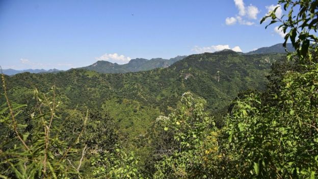 La guerra por la herencia de 'El Chapo' - triangulo-dorado