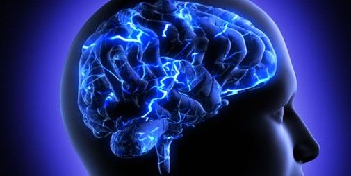 UNAM impartiría licenciatura en Neurociencias