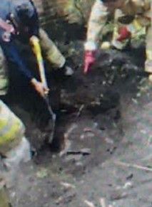 Asesinan y entierran en su casa a maestro de la UNAM - vidal-zavala-rosasI