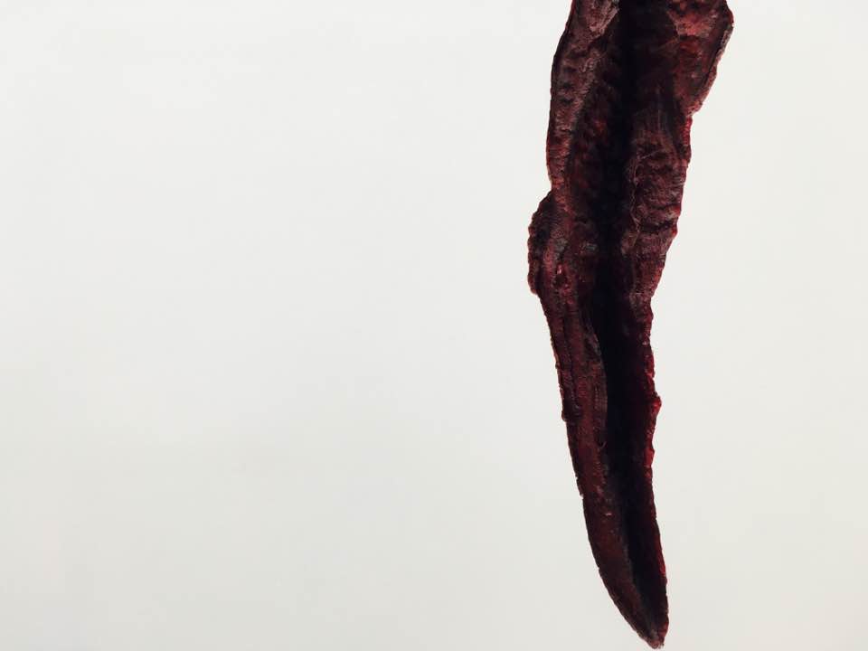 Extienden la exposición de Anish Kapoor en el MUAC