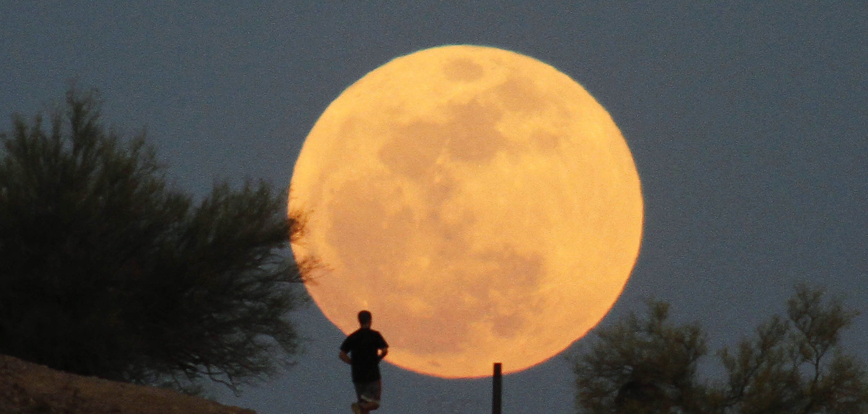 Mujer muere tras ser golpeada por tren mientras fotografiaba la Súper Luna