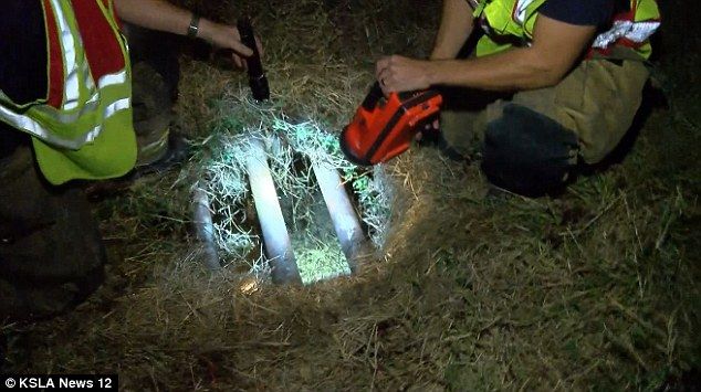 Cae bebé a una alcantarilla luego de sufrir un choque - 3AC7D54000000578-3974424-An_eight_month_old_baby_who_was_thrown_30_feet_from_a_car_during-a-3_1480191319226