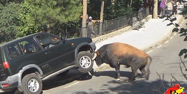 Video: toro destroza camioneta en festival en España