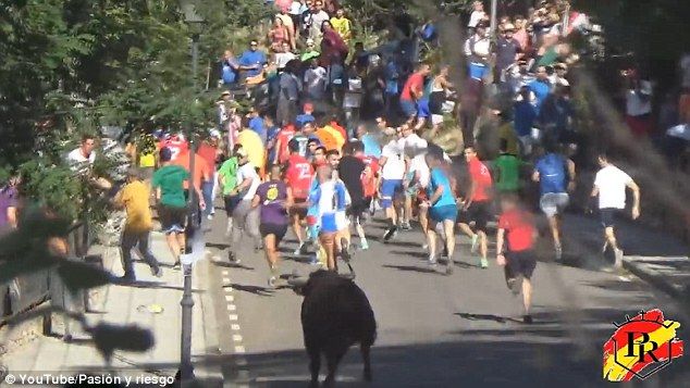 Video: toro destroza camioneta en festival en España - 3AD1675100000578-0-image-a-4_1480323418154
