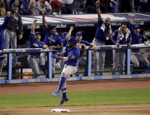 ¡Cachorros campeones! - 5275a326c3880837a90f6a706700a059