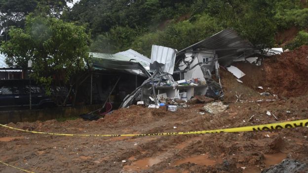 Hombre se negó a abandonar a sus perros durante el paso de Otto