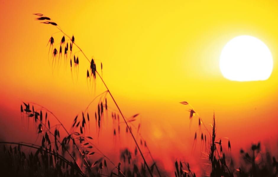 El 2016 puede ser el año más caluroso de la historia