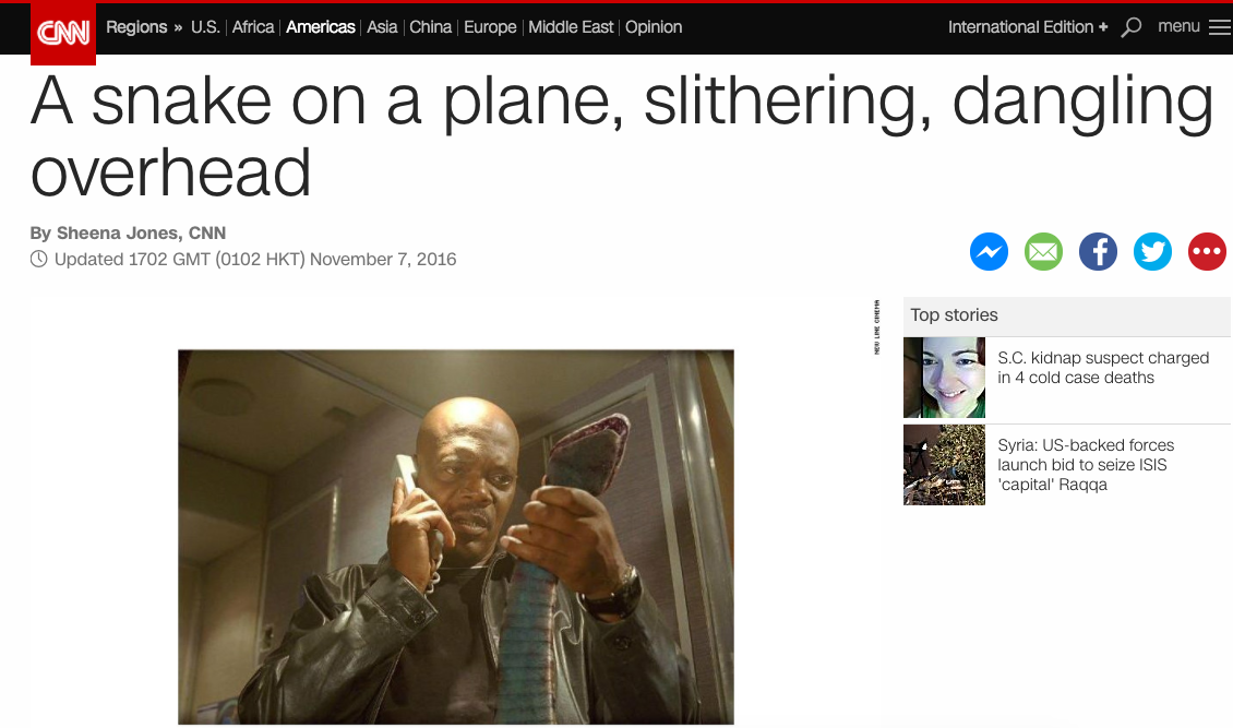 Video: serpiente a bordo en vuelo de Aeroméxico - Captura-de-pantalla-2016-11-07-a-las-13.24.20