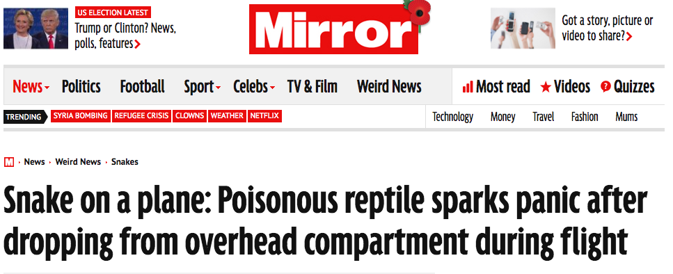 Video: serpiente a bordo en vuelo de Aeroméxico - Captura-de-pantalla-2016-11-07-a-las-13.25.59