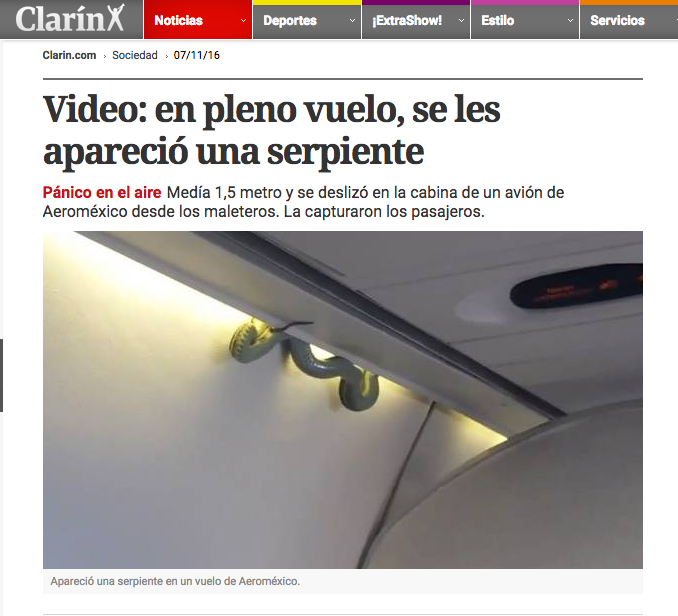 Video: serpiente a bordo en vuelo de Aeroméxico - Captura-de-pantalla-2016-11-07-a-las-13.39.56