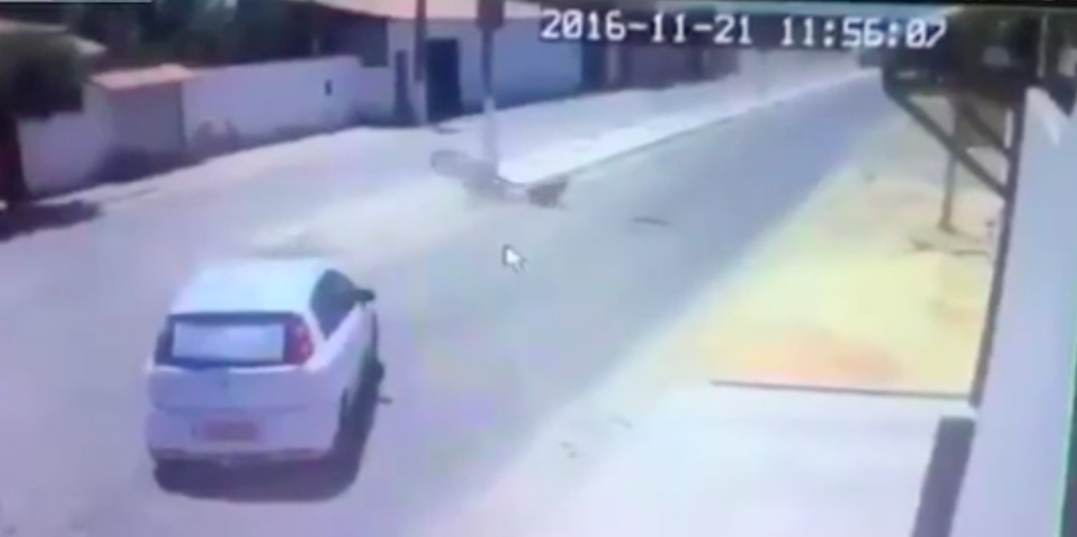 Video: motociclista sobrevive choque y poste le cae encima