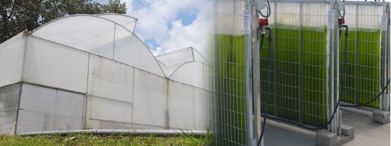 Instalan biorrefinería en Veracruz