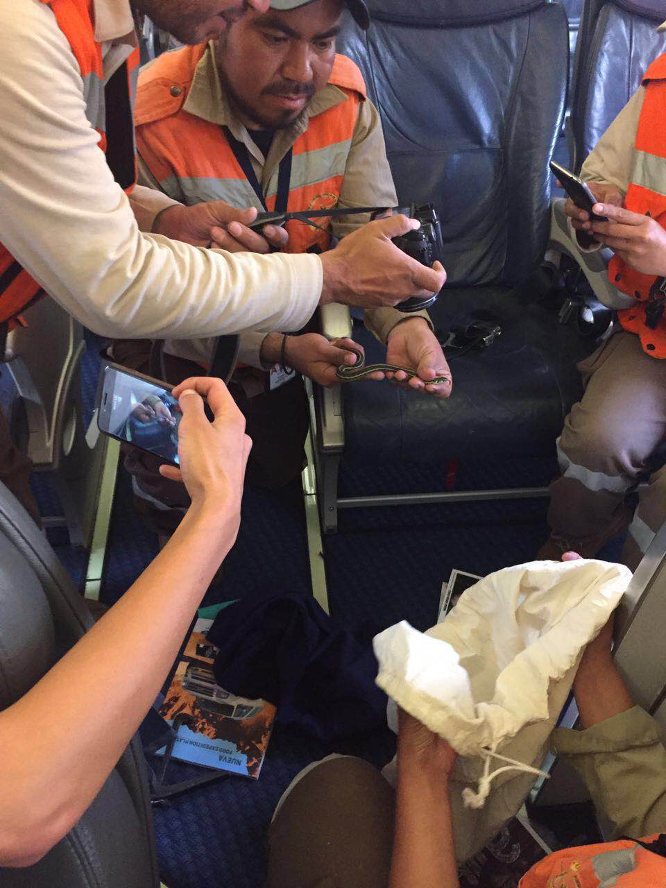 Explica Aeroméxico lo sucedido con la víbora en el avión - IMG_1526