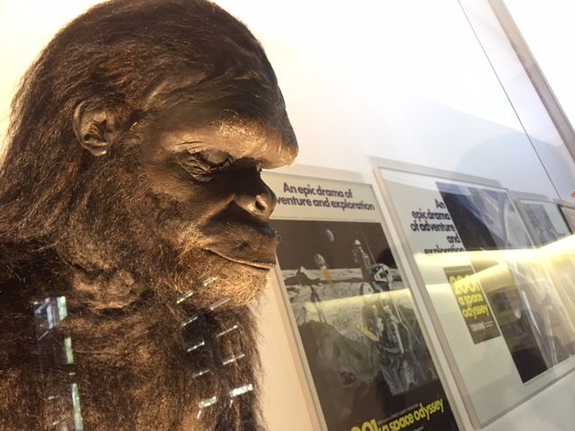 Llegan Kubrick y todas sus películas a la Cineteca Nacional - Stanley-Kubrick-5