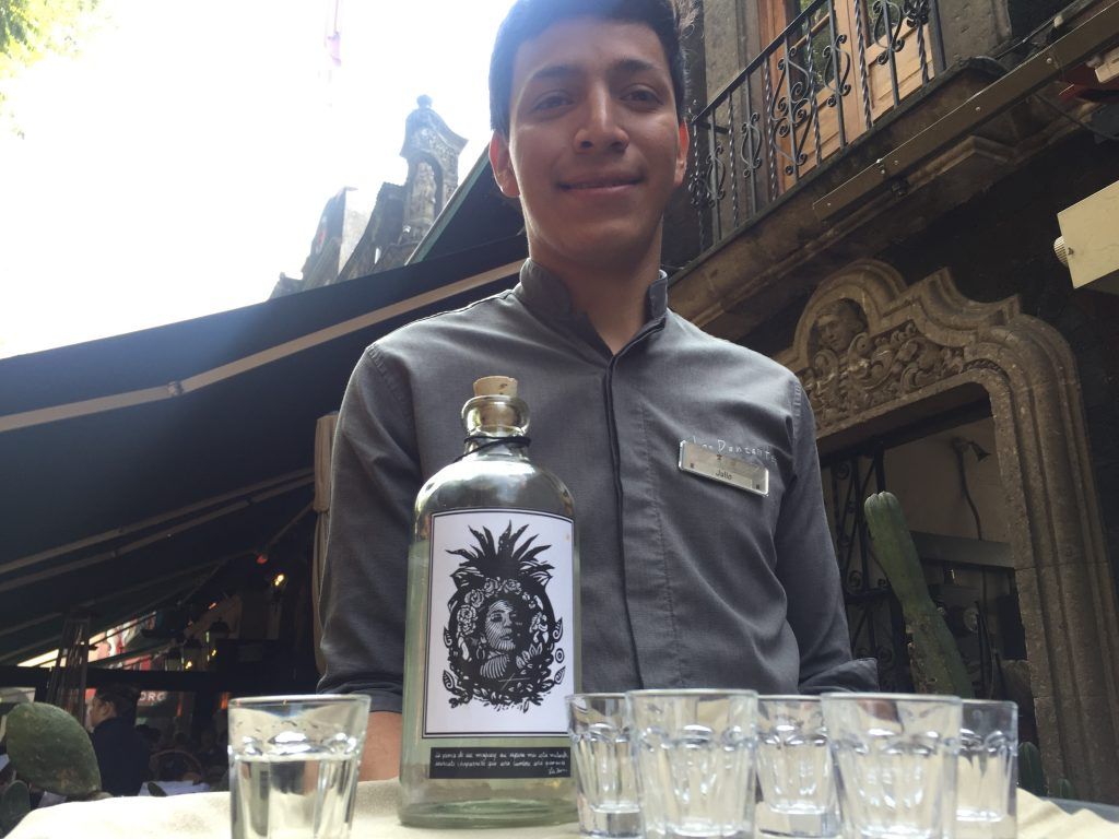 Lila Downs habla acerca de la llegada de Trump a la presidencia - Sólo-se-venderán-1400-botellas-y-las-ganancias-apoyarán-a-mujeres-jóvenes-oaxaqueñas-1024x768