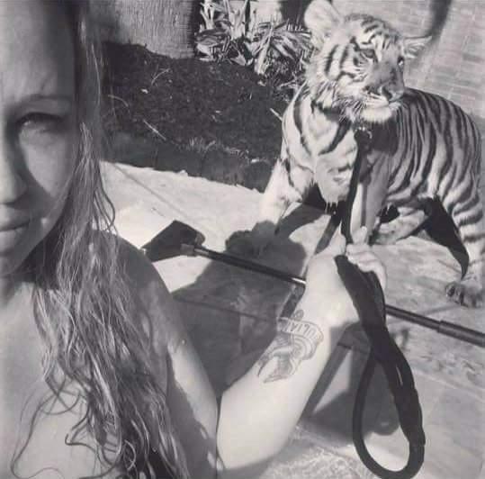 Arrestan a mujer que tenía tres tigres en su casa - Trisha-tigres