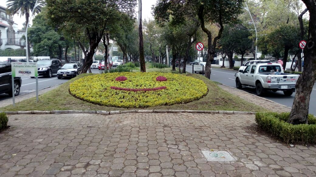 Crean carita feliz en Paseo de la Reforma - WhatsApp-Image-2016-11-17-at-12.52.49-PM