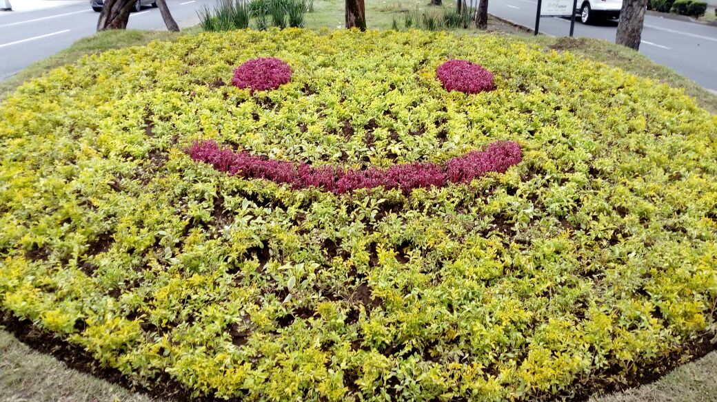 Crean carita feliz en Paseo de la Reforma