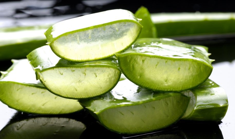 Estudio revela que productos de Walmart de aloe vera no lo contienen - aloe-vera-I