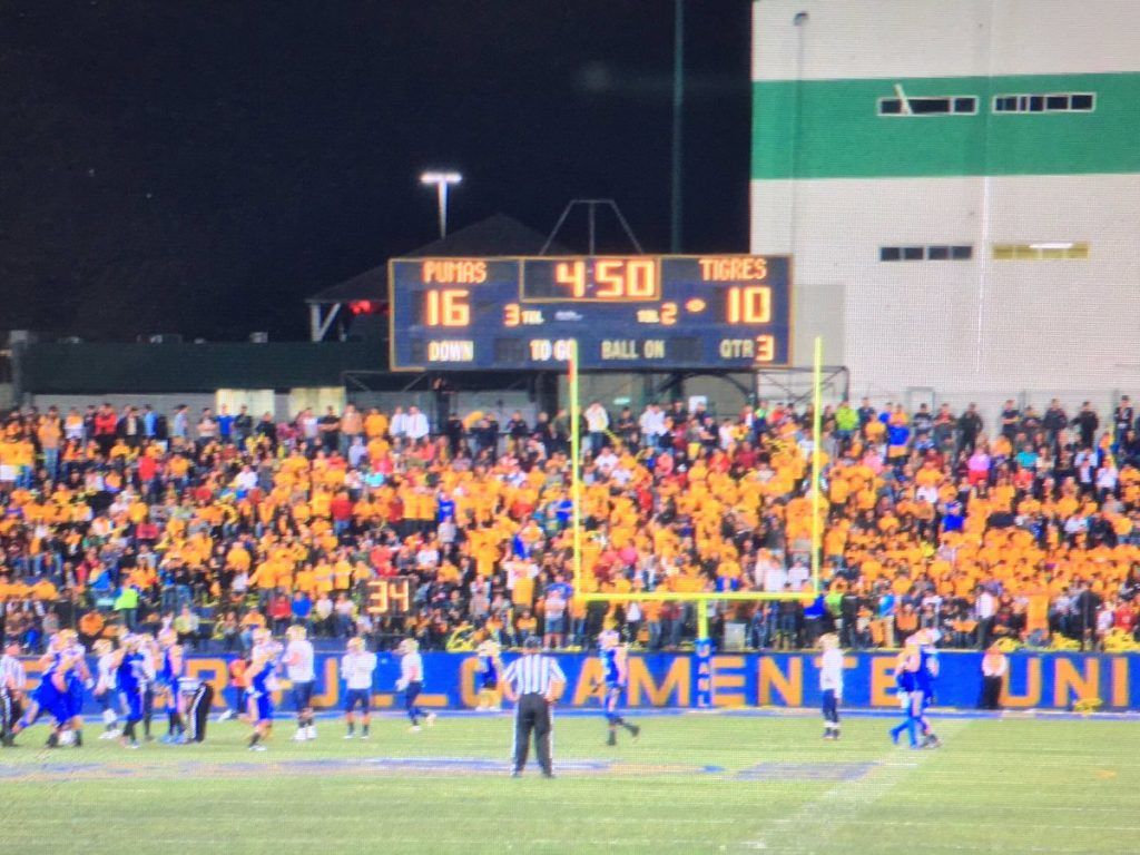 Auténticos Tigres logra el bicampeonato de la ONEFA - autenticos-tigres-bicampeon-5-1024x768
