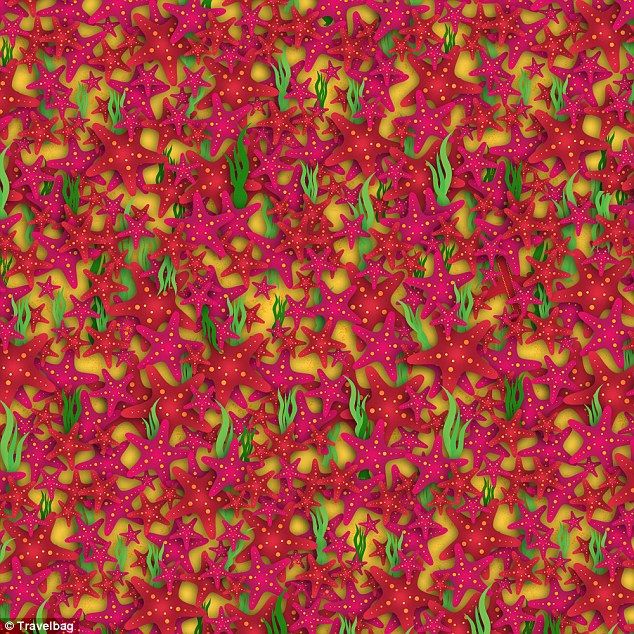 El avión perdido entre estrellas de mar y una cara siniestra, los nuevos retos de Internet