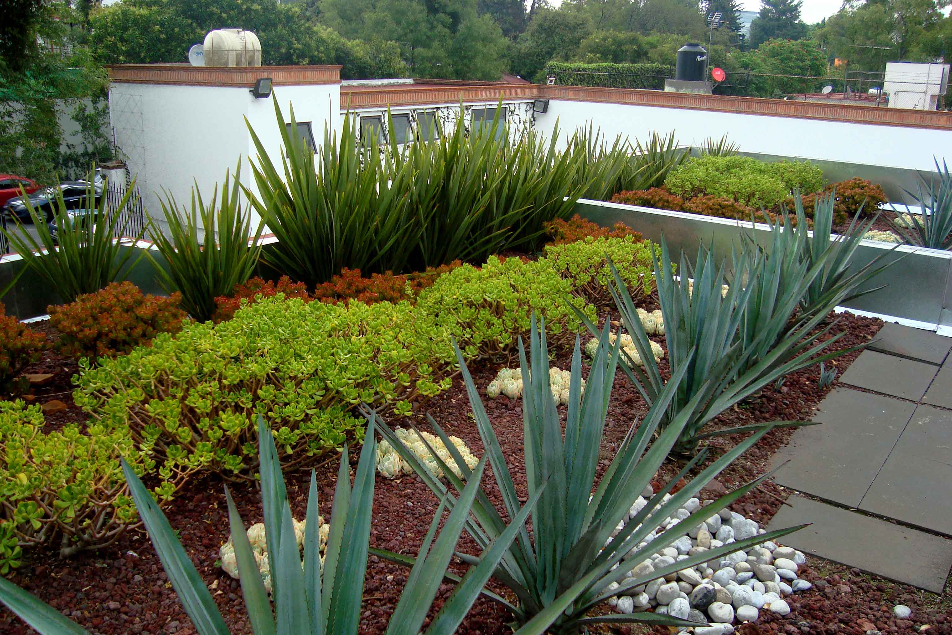 Viviendas con azoteas verdes tendrán 10 por ciento de descuento en el predial - azotea-2