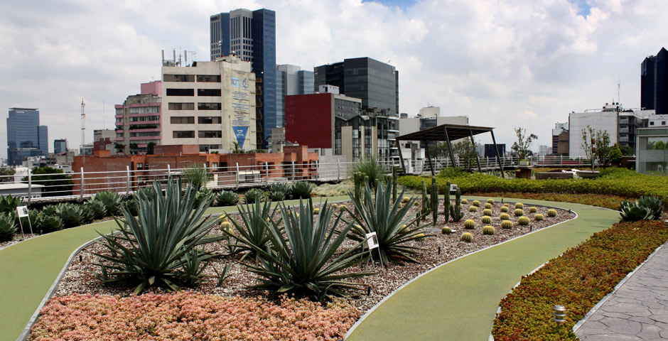 Viviendas con azoteas verdes tendrán 10 por ciento de descuento en el predial - azotea-4