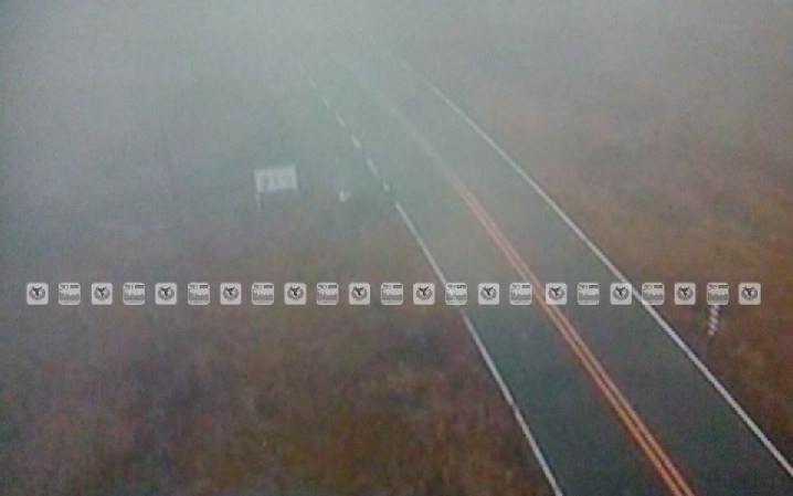 Banco de niebla afecta carretera México–Cuernavaca