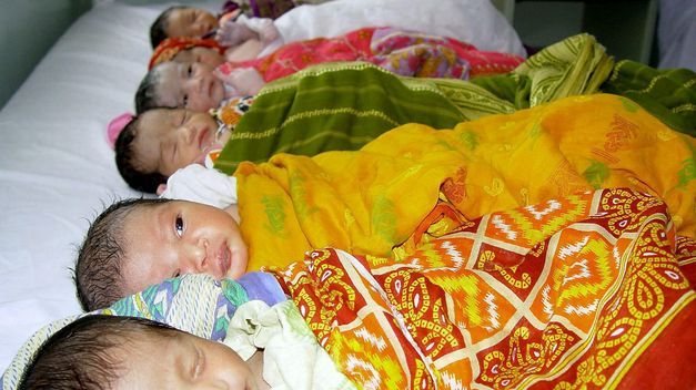 Banda robaba bebés y los vendía en cajas de galletas