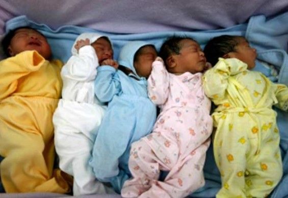Banda robaba bebés y los vendía en cajas de galletas - bebésI
