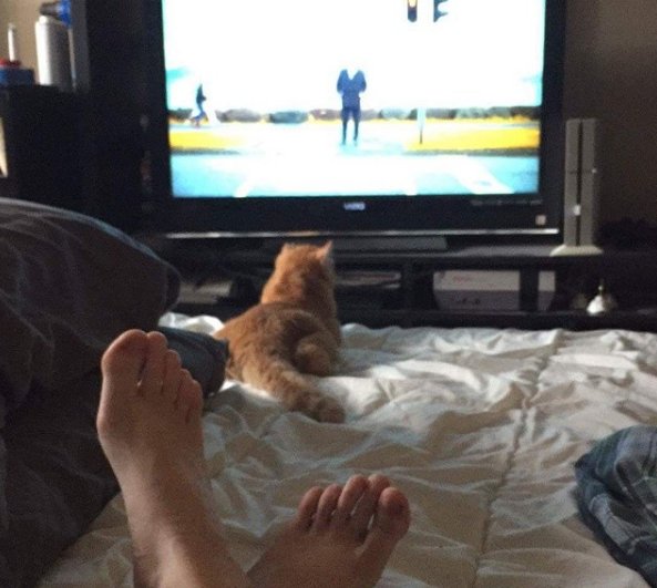 El gato más triste del mundo tuvo un final feliz - ben-ben-3