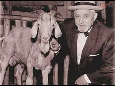 Grandes maldiciones del deporte - billy-the-goat