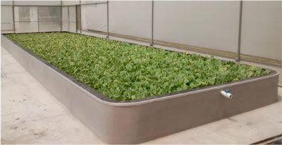 Instalan biorrefinería en Veracruz - bio2016