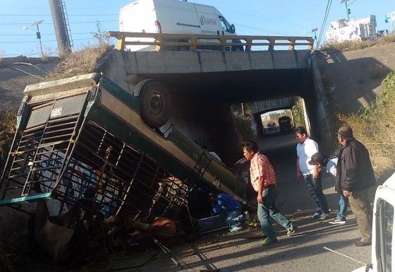 Volcadura en Puebla deja varios caballos prensados