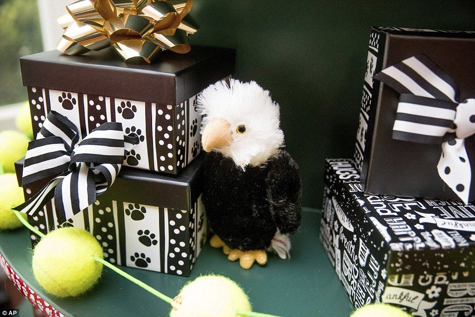 La última Navidad de Michelle Obama en la Casa Blanca - casa-blanca-navidad-17