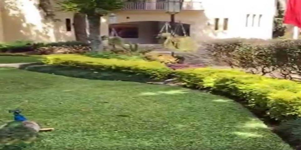 Video: exhiben pavorreales, cine y cava de vinos en casa de Javier Duarte