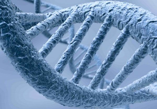 Congelan cuerpo de adolescente británica y lo envían a EE.UU. - criogenia-2